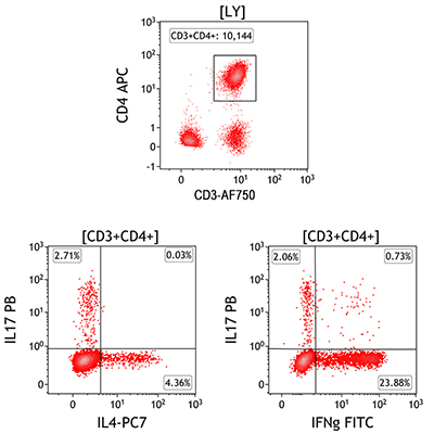 C04666_DuraClone IF T Helper Cell Tube, 25 Tests, RUO